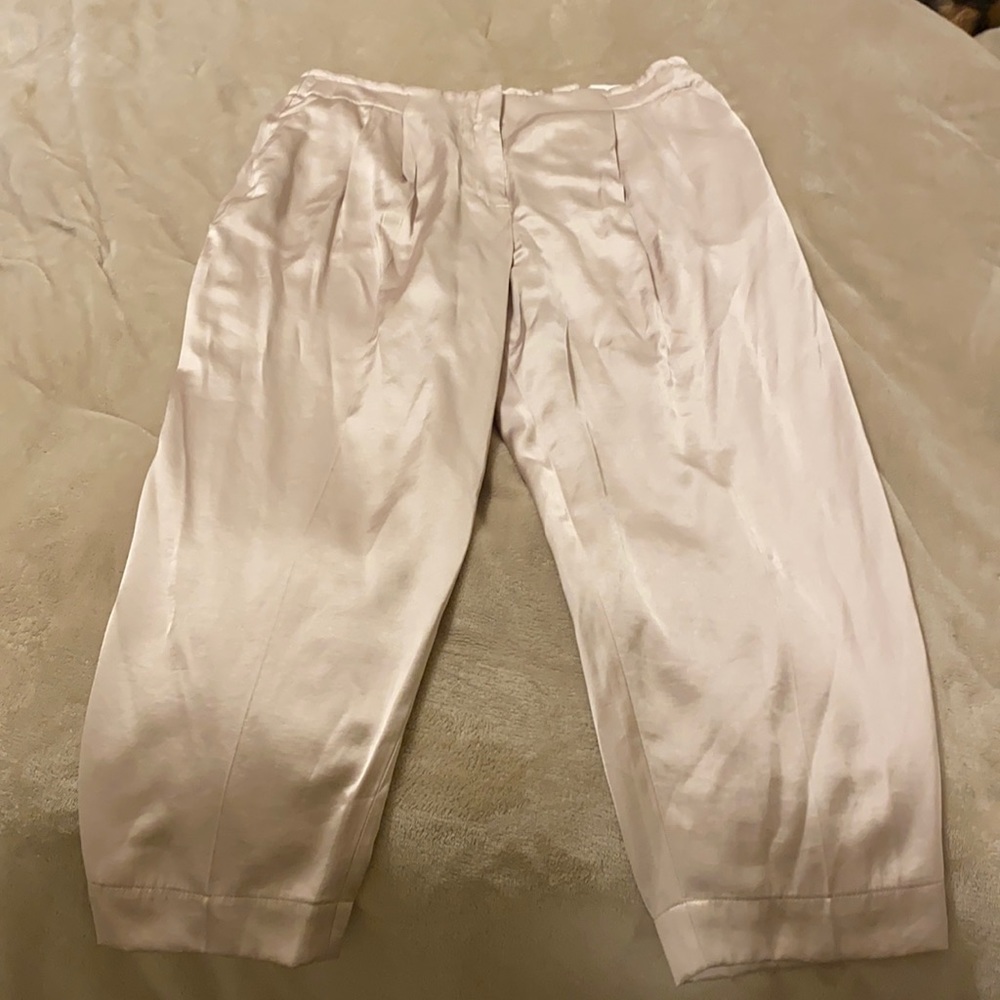 Express Silk Ankle High Rise Pants